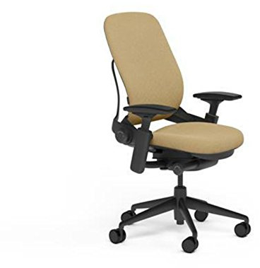 Steelcase Leap V2 Desk Chair in Buzz2 Barley Fabric - 4-Way Highly Adjustable Arms - Black Frame and Base - Soft Dual Wheel Hard Floor Casters