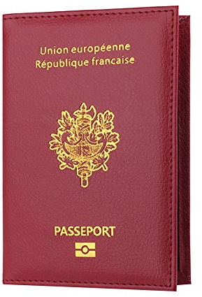 ZHOUBA Portefeuille de voyage portable pour passeport, cartes bancaires et cartes d'identité - Housse de protection pour documents de voyage (Rouge violacé)