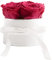 ROSEMARIE SCHULZ Heidelberg Rosenbox rund Infinity Rosen Pink - Blumenbox in Weiß 4 konservierte Rosen haltbar 3 Jahre - Geschenke für Freundinnen (Small, Weiß-Pink)