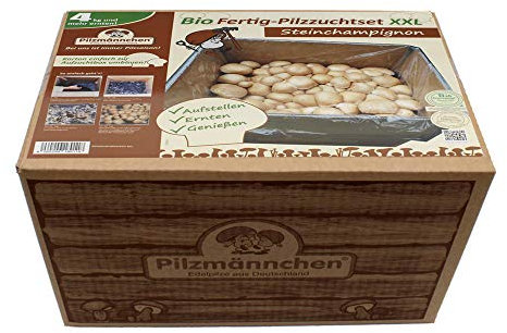 Bio Fertig-Pilzzuchtset Steinchampignons