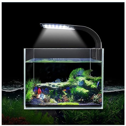 24 LED Aquarium Licht 10W Aquarium Beleuchtung mit Weiß und Blaulicht LED Wasserpflanzenlicht Ultradünnes Aquarium Beleuchtung Lampe Pflanzenwachstumslicht für Aquarien