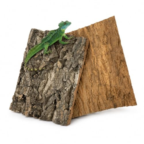 TOUKBEAU Reptile Bark Decor Wood, 2PCS Natural Cork Bark, Bark Cork Hides Water Bark Tube Decor | Reptile Bark Cork Wood Bark Terrarium for Bearded Dragon Lizard Geckos Tortoise