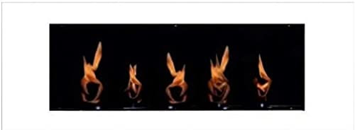 Kaminbau Mierzwa Bio Ethanol und Gel Kamin Wandkamin Daniel - Weiß