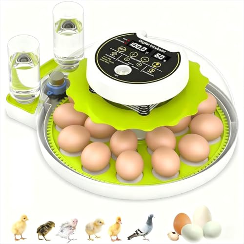 Egg Incubators for Hatching 18 Eggs, Digital Incubator with Temperature Control Water Filling Automatic Turning incubator, Home Incubator for Quail Chicken Duck Pigeon