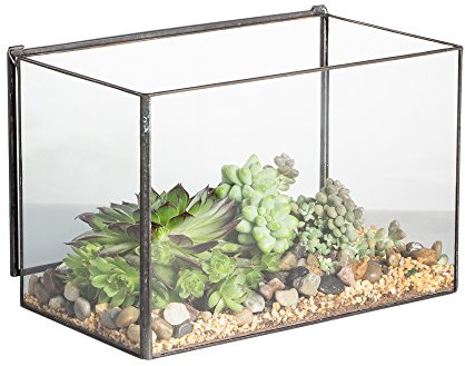 NCYP Small 17x10x12 CM Glass Terrarium Box With Lid, Tabletop Black Rectangle Planter, Handmade Clear Flower Pot for Succulent Air Plants Fern, Modern Home Decor (No Plants)