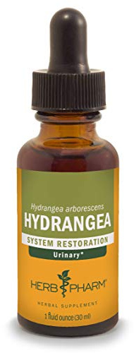 Herb Pharm Hydrangea Liquid Extract for Urinary System Support, 1 Fl Oz