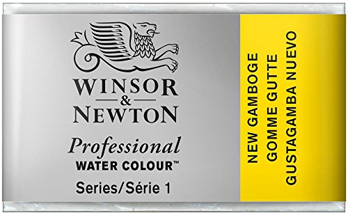 Winsor & Newton Acuarela Profesional - Pintura de Acuarela, Alta Luminosidad, Resistente a la Luz, Calidad de Archivo, Godet, Color Gutagamba Nuevo