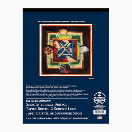 Bee Paper 2-Ply Plate Bristol Pad, 14-Inch by 17-Inch