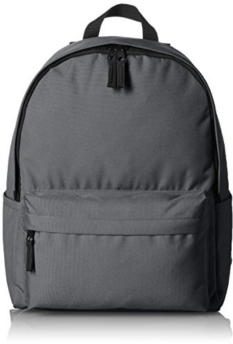 Amazon Basics Mochila Clásica/de Diario/Escolar, Gris, 1 Unidad