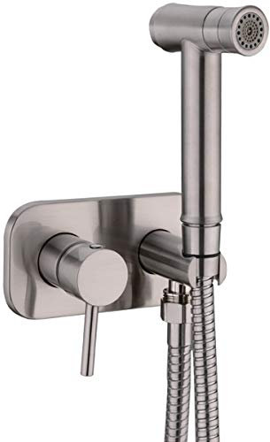 TRUSTMI Toilet Concealed Hot and Cold Bidet Spray Set,Brushed Nickel