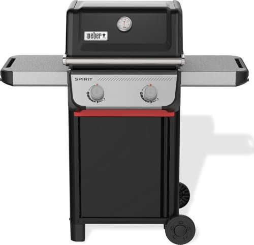 Weber Spirit E-210 Gasgrill, 2 Brenner, 51 x 46 cm Grillfläche, Warmhaltegitter, integriertes Thermometer, 2 Räder - schwarz/silber (1500835)