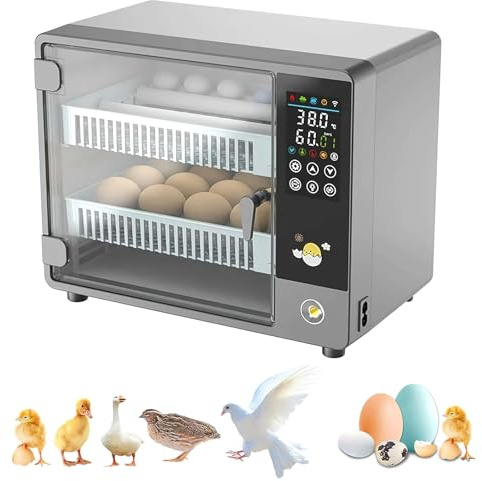 Incubadora Huevos Gallina, Incubadora Automática de Huevos para 24 Huevos, con Volteo Automático de Huevos y Humidificación Automática, Control Inteligente de Temperatura Pantalla Táctil