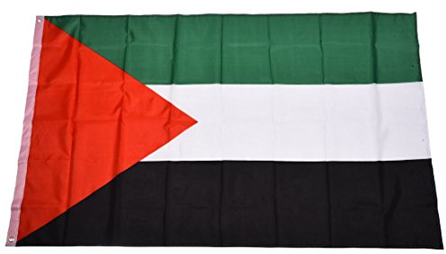 Persistence Palestina Bandiera Nazionale 5ft x 3ft