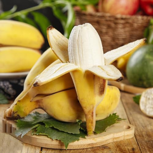 200 piezas semillas banano semillas de techos verdes, interior, de jardin para hombres banano columnar en