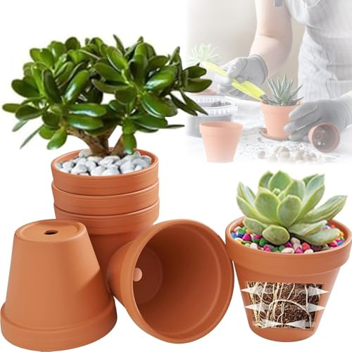 Cerkkapo Pack de 6 Macetas de Terracota,Ø 12 cm,Macetas de Barro con Agujero de Drenaje,Reutilizables sin esmaltar Macetas Terracota,para Habitaciones,oficinas,Jardines,decoración Interior y Exterior