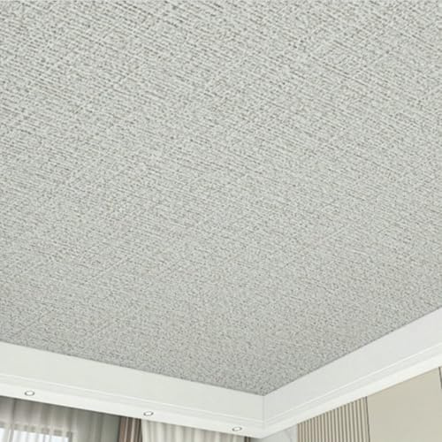ByteRunning Dalle Plafond Polystyrene,Panneaux De Plafond,Plaque pour Plafond Salle De Bain A Coller,Installation Rapide,Convient Aux Magasins,Bureaux Et Salles De Bain