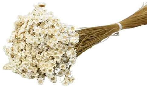 Ramo Seco de Flores de Glixia Elegancia Natural para Tu Hogar