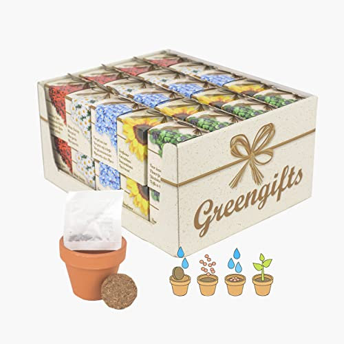 Greengift Set de regalo – 5 plantas en maceta – Semillas fáciles de plantar en casa – Bio Starter Kit Semillas para jardineros altos y jardín de botellas DIY para jardineros aficionados y niños (40)
