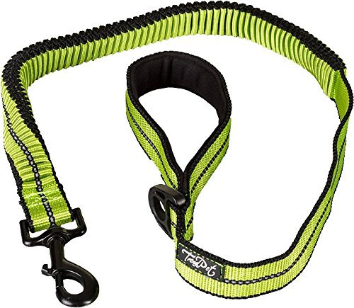 TrendPet Cascado Expanderleine Fahrradleine mit Ruckdämpfer (75-120cm)