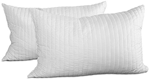 EVERGREENWEB 2-pack kuddar 40 x 60 cm gjorda av minnesflingor för sängar och soffor, mjuk stoppning, supererbjudande, lämplig mot nack- och ryggsmärtor, certifikat Oeko-TEX®