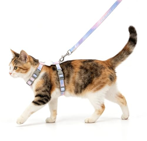 Nobleza Pettorina e Guinzaglio per Gatti, Pettorina Regolabile con Ali d'Angelo in Peluche, Design con Fibbia a Sgancio Rapido e Clip in Metallo, Set Pettorina Confortevole per Gatti e Cuccioli
