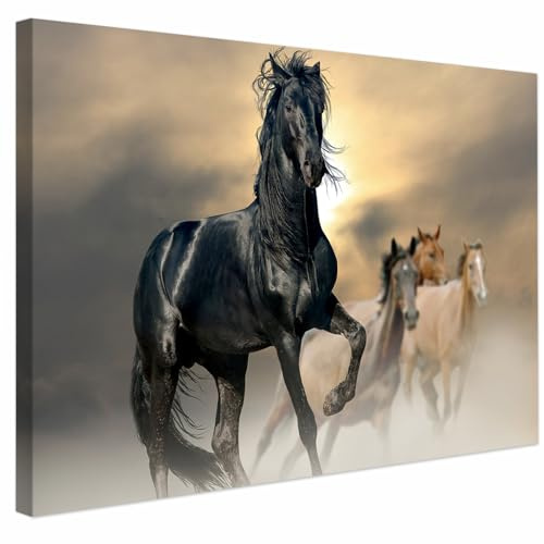 AREDE Quadrо su Tela - Stampa d’Arte Moderna | Cavallo nero | 60 x 40 cm| Decorazione Parete per Soggiorno, Camera, Ufficio, Cucina | Idea Regalo Originale | Pronto da Appendere