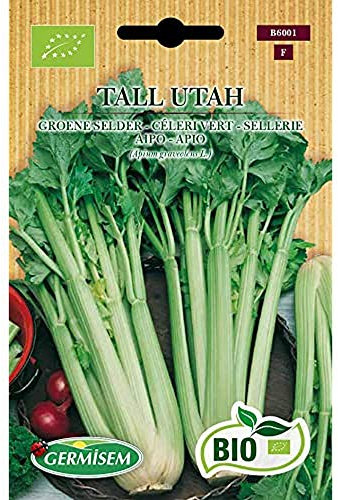Germisem Bio Graines Céleri vert TALL UTAH