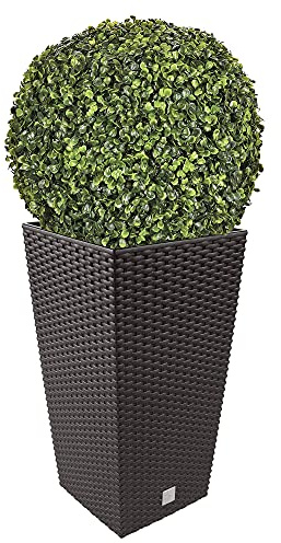 Ensemble de pots Rato 35 litres avec insert 28,7 x 28,7 x 55 cm de couleur ocre foncé + boule de buis diamètre 36 cm