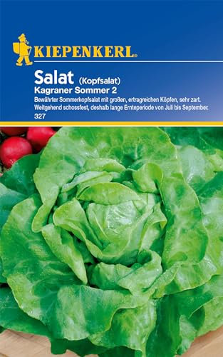 Kiepenkerl Kopfsalatsamen Kagraner Sommer 2 - Hitzebeständige, Schossfeste Salatsamen für Saftigen Salat, Ideal für Sommeranbau im Gemüsegarten, Premium Samen