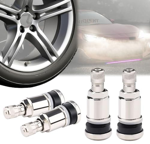 Begpoee 4 Stück Felgenventil Auto, Universal Metallventile, Stahlventile, 44 x 16 mm, Für Pkw, SUV und LKW (Silber)
