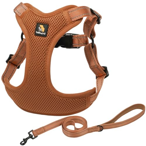 BELLA & PAL Arnés y Correa para Perro, Arnés Ajustable, Chaleco Anti-Tirón para Perro XS/Pequeño/Mediano, Malla Transpirable con Bandas Reflectantes, Hebilla, Doble Anillas en D