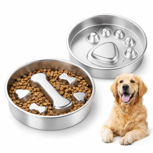 Lot de 2 gamelles pour Chien en INOX 304, gamelle Chien INOX 2 en 1 Double Face, gamelle Anti-glouton avec Bol Chien pour friandises, Lavable au Lave-Vaisselle, 22 cm