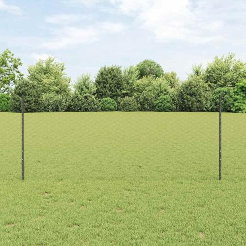 GeenYuu Recinzione con pali grigio in acciaio verniciato a polvere, 2500 x 2,7 x 100 cm, recinzione da giardino, recinzione a doppia asta, per terrazza, esterni, con pannello e set di viti