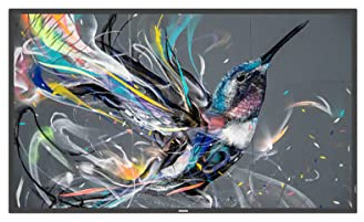 Philips Q-Line 43BDL3511Q/00 43' Display