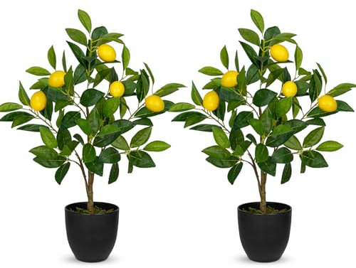 Hollyone 2PCS Artificial Lemon Plant in Black Pot - 60CM Fake Potted Plants - Small Faux Lemon Tree for Living Room, Kitchen, Bathroom, Home Decor, Office, Summer Decorations