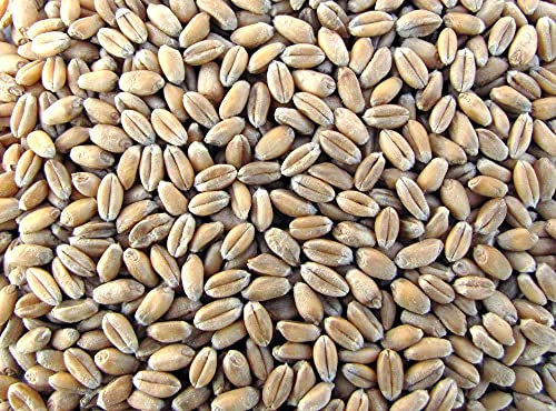 Raiffeisen Weizen, Futter Geflügel Hühner (25Kg)