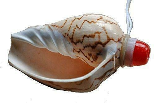 Fair Trade Vietnamesisch Sea Shell Horn/Flöte/Vuvezela mit Umhängekordel