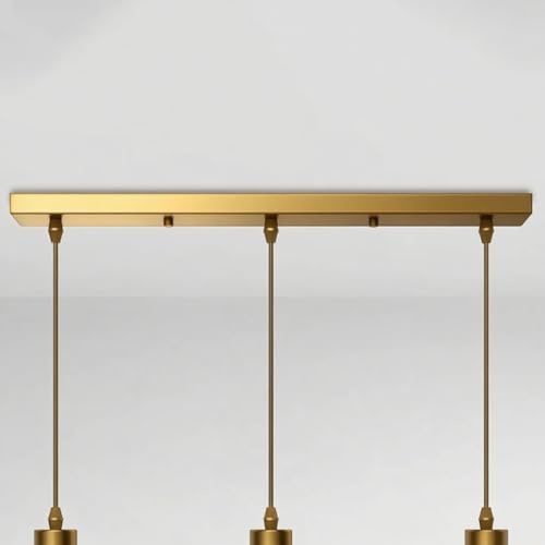 Baldaquin pour lampe rectangulaire, longue, cache-câble, rosace de plafond, en métal, abat-jour de plafond, boîte de plafond, doré, 50 cm x 2 trous