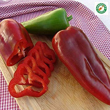 Poivron - Demetra - 8 graines