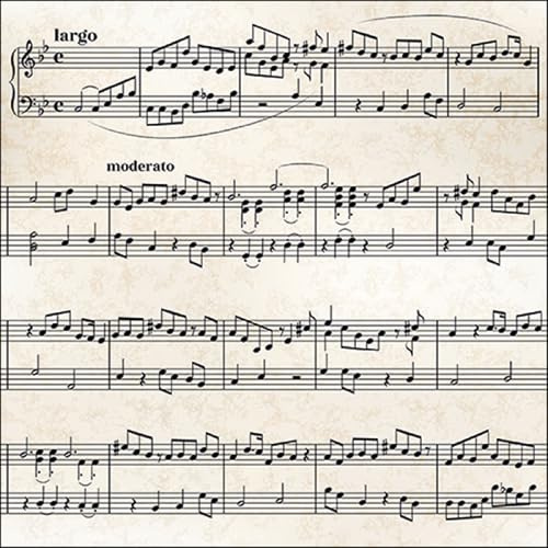 20 Tovaglioli con Motivo Musicale per Decorazione da Tavolo, Tovaglioli di Carta con Motivo, Adatti anche per Decoupage, 33 x 33 cm