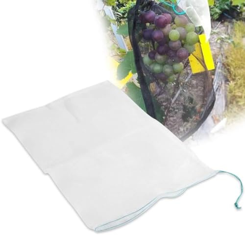 Generic Rejäla Trädgårdsfruktpåsar, Fruktskyddspåsar, för Tomater, Auberginer, Vindruvor, äpplen för trädgårdsgrönsaker. Fröskydd för frukt-, blom- och grönsaksväxter. (30 * 20 cm)
