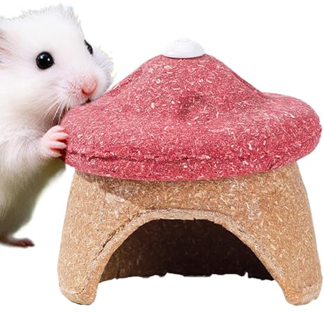 Generisch de hámster – Roedor y masticable en Forma de Seta – Jaula para Animales pequeños como erizos, Hurones, Conejos, Chinchilla