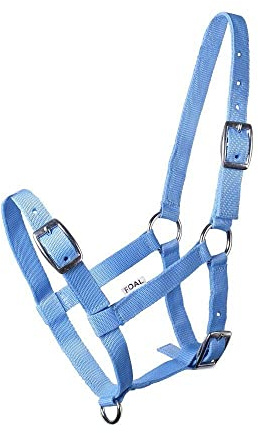 Cavezza Iniziale per Puledro, Regolabile in Tre Posizioni (foal, Azzurro)
