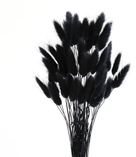 ROOBZE pampasgras Kaninchenschwanz Gras schmücken 50 Stücke natürlich Getrocknete Blumensträuße，Deko Trockenblumen Trockenblumenstrauß für Schlafzimmer Indoor Hochzeit Home Decoration (Schwarz)