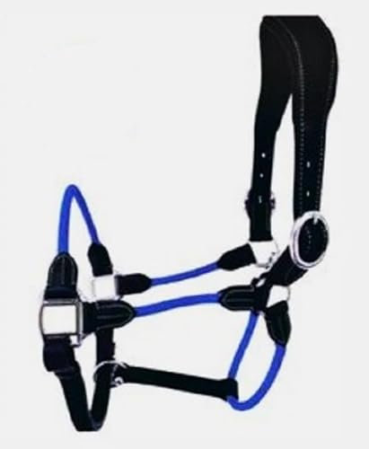 Cwell Equine Cabestro acolchado híbrido de cuero negro y cuerda de lujo, completo, mazorca, pony (mazorca azul)