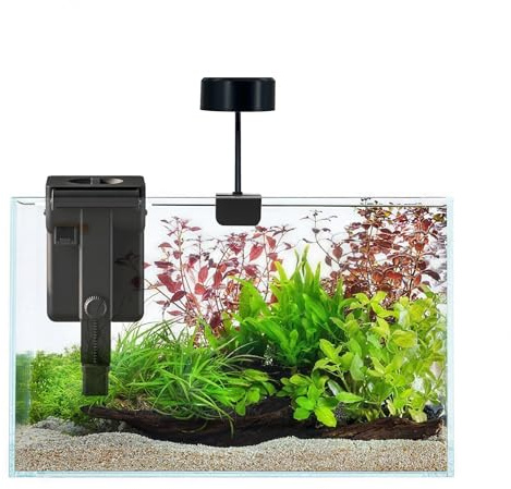 Craftsboys Fish Tank Starter Kits, Low Iron Glass Aquarium with Filter, Led Light for Aquascape DIY Small Betta Fish Tank (6 Gallons)