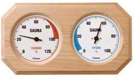 Sauna Hygrotherm in Holz gefasst