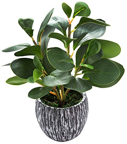 AlphaAcc Artificial Plants Real Looking and Touching Fake Plant Evergreen Plastic Fiddle Leaf Fig Plant with Rustic Black Cement Planter for Housewarming Office Desk Decor