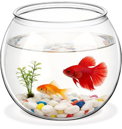 JOINPAYA Transparentes Kugelförmiges Kunststoff Aquarium Mittel Mikro Landschaftscontainer als Wohnzimmer und Bürodekoration Unzerbrechliches Fischglas für Tisch und Regal