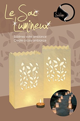 Sacchetto luminoso GM x 8 BAMBOU Un effetto garantito per le vostre decorazioni tra i nostri numerosi riferimenti !!! Si utilizza anche con i nostri LED impermeabili di Sublime.